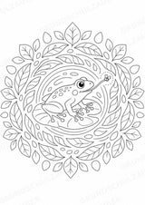 Frosch Mandalas Ausmalbilder – Tiere – 15 Malvorlagen – Materialseite 7