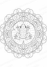 Frosch Mandalas Ausmalbilder – Tiere – 15 Malvorlagen – Materialseite 8