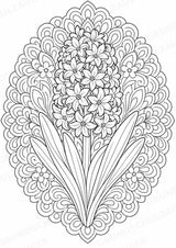 Frühblüher Mandalas Ausmalbilder – Natur und Pflanzen – 15 Malvorlagen – Materialseite 6