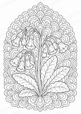 Frühblüher Mandalas Ausmalbilder – Natur und Pflanzen – 15 Malvorlagen – Materialseite 14
