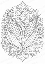 Mais Mandalas Ausmalbilder – Gemüse – 15 Malvorlagen – Materialseite 6