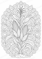 Mais Mandalas Ausmalbilder – Gemüse – 15 Malvorlagen – Materialseite 10