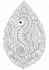 Meerestiere Mandalas Ausmalbilder – Tiere – 15 Malvorlagen – Materialseite 5