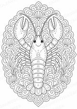 Meerestiere Mandalas Ausmalbilder – Tiere – 15 Malvorlagen – Materialseite 14