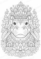 Nilpferd Mandalas Ausmalbilder – Allgemeine Themen – 15 Malvorlagen – Materialseite 12