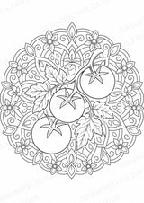 Obst & Gemüse Mandalas Ausmalbilder – Gemüse – 15 Malvorlagen – Materialseite 10