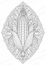Obst & Gemüse Mandalas Ausmalbilder – Gemüse – 15 Malvorlagen – Materialseite 14