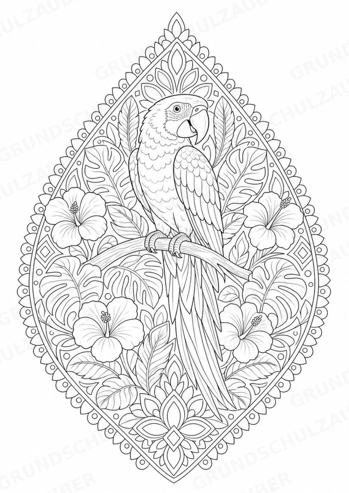 Papagei Mandalas Ausmalbilder – Tiere – 15 Malvorlagen – Materialseite 2