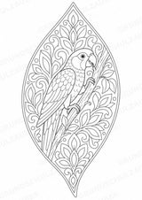 Papagei Mandalas Ausmalbilder – Tiere – 15 Malvorlagen – Materialseite 3