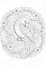Papagei Mandalas Ausmalbilder – Tiere – 15 Malvorlagen – Materialseite 4