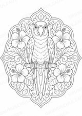 Papagei Mandalas Ausmalbilder – Tiere – 15 Malvorlagen – Materialseite 5