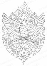 Papagei Mandalas Ausmalbilder – Tiere – 15 Malvorlagen – Materialseite 6