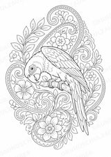 Papagei Mandalas Ausmalbilder – Tiere – 15 Malvorlagen – Materialseite 7