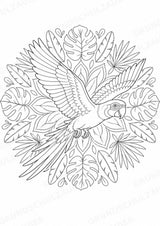Papagei Mandalas Ausmalbilder – Tiere – 15 Malvorlagen – Materialseite 9