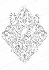 Papagei Mandalas Ausmalbilder – Tiere – 15 Malvorlagen – Materialseite 10