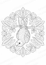 Papagei Mandalas Ausmalbilder – Tiere – 15 Malvorlagen – Materialseite 11