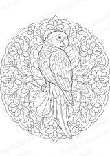 Papagei Mandalas Ausmalbilder – Tiere – 15 Malvorlagen – Materialseite 12