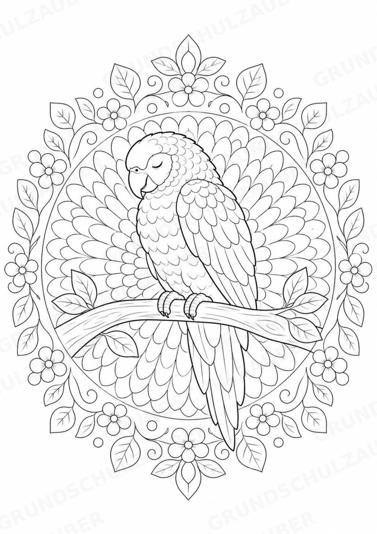 Papagei Mandalas Ausmalbilder – Tiere – 15 Malvorlagen – Materialseite 15
