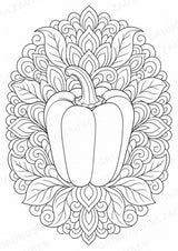 Paprika Mandalas Ausmalbilder – Gemüse – 15 Malvorlagen – Materialseite 2