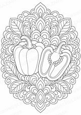 Paprika Mandalas Ausmalbilder – Gemüse – 15 Malvorlagen – Materialseite 3