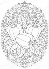 Paprika Mandalas Ausmalbilder – Gemüse – 15 Malvorlagen – Materialseite 12