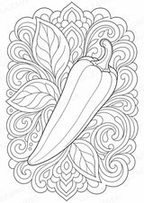 Paprika Mandalas Ausmalbilder – Gemüse – 15 Malvorlagen – Materialseite 13