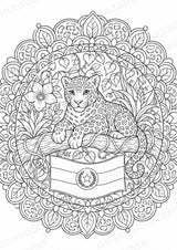 Paraguay Mandalas Ausmalbilder – Länder und Kulturen – 15 Malvorlagen – Materialseite 7