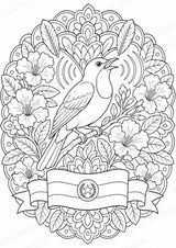 Paraguay Mandalas Ausmalbilder – Länder und Kulturen – 15 Malvorlagen – Materialseite 9