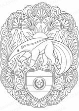 Paraguay Mandalas Ausmalbilder – Länder und Kulturen – 15 Malvorlagen – Materialseite 10