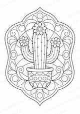 Pflanzen Mandalas Ausmalbilder – Natur und Pflanzen – 15 Malvorlagen – Materialseite 3