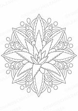 Pflanzen Mandalas Ausmalbilder – Natur und Pflanzen – 15 Malvorlagen – Materialseite 5