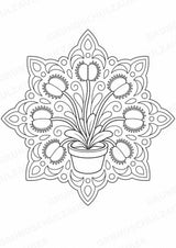 Pflanzen Mandalas Ausmalbilder – Natur und Pflanzen – 15 Malvorlagen – Materialseite 13