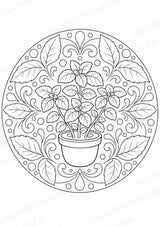 Pflanzen Mandalas Ausmalbilder – Natur und Pflanzen – 15 Malvorlagen – Materialseite 14