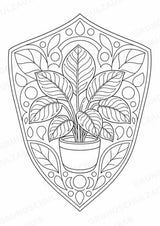 Pflanzen Mandalas Ausmalbilder – Natur und Pflanzen – 15 Malvorlagen – Materialseite 15