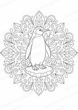 Pinguin Mandalas Ausmalbilder – Tiere – 15 Malvorlagen – Materialseite 2
