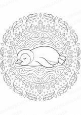 Pinguin Mandalas Ausmalbilder – Tiere – 15 Malvorlagen – Materialseite 16
