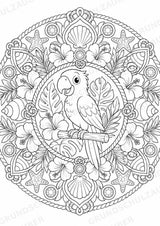 Piraten Mandalas Ausmalbilder – Märchen – 15 Malvorlagen – Materialseite 12
