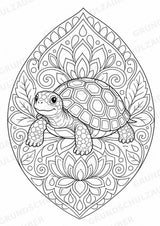 Schildkröte Mandalas Ausmalbilder – Tiere – 15 Malvorlagen – Materialseite 2