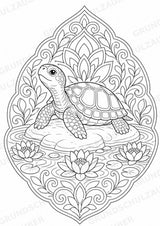 Schildkröte Mandalas Ausmalbilder – Tiere – 15 Malvorlagen – Materialseite 4