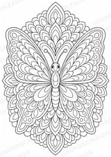 Schmetterling Mandalas Ausmalbilder – Tiere – 15 Malvorlagen – Materialseite 2