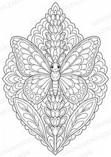 Schmetterling Mandalas Ausmalbilder – Tiere – 15 Malvorlagen – Materialseite 11