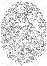 Schmetterling Mandalas Ausmalbilder – Tiere – 15 Malvorlagen – Materialseite 16