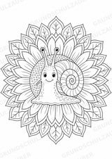 Schnecke Mandalas Ausmalbilder – Tiere – 15 Malvorlagen – Materialseite 4