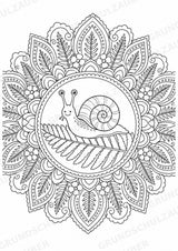 Schnecke Mandalas Ausmalbilder – Tiere – 15 Malvorlagen – Materialseite 14