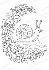 Schnecke Mandalas Ausmalbilder – Tiere – 15 Malvorlagen – Materialseite 15