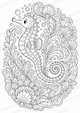 Seepferdchen Mandalas Ausmalbilder – Tiere – 15 Malvorlagen – Materialseite 16