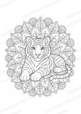 Tiger Mandalas Ausmalbilder – Tiere – 15 Malvorlagen – Materialseite 6