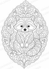 Waschbär Mandalas Ausmalbilder – Tiere – 15 Malvorlagen – Materialseite 2