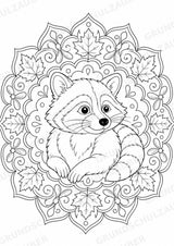 Waschbär Mandalas Ausmalbilder – Tiere – 15 Malvorlagen – Materialseite 4