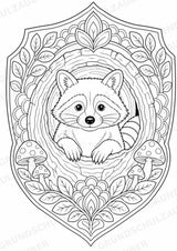 Waschbär Mandalas Ausmalbilder – Tiere – 15 Malvorlagen – Materialseite 7